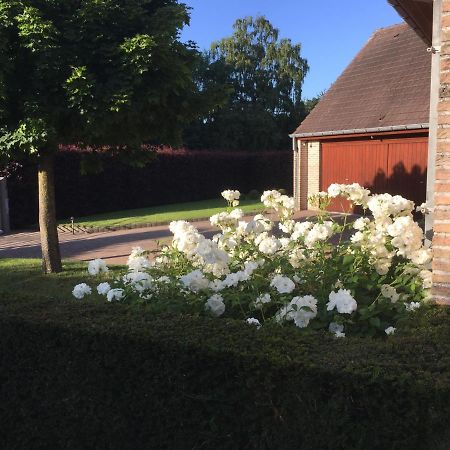 Artemis Villa Ronse Exterior photo
